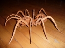 3D PUZZLE PAVOUK_2